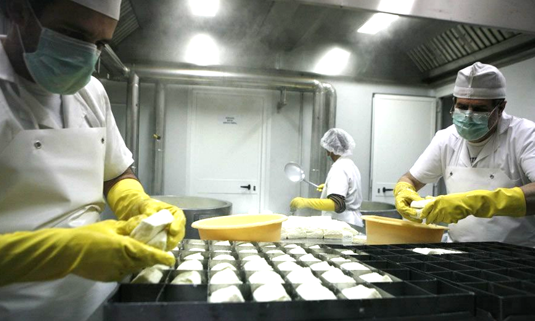 Environmental Risk Assessment of the Proposed Olympus Foods Cheese Production Facility in Tseri, Cyprus (2022)